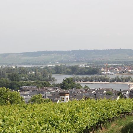 Ferienwohnung Luna Rüdesheim am Rhein Exterior foto